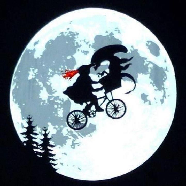 6a1ab69c-588c-4ef6-a602-8a65babd3a1f-image.jpeg